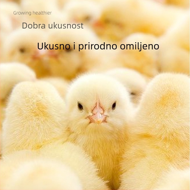 Starter hrana za piliće i prepelice (Uvoz: Ne; Privatna oznaka: Da; Tržište: Ostalo)
