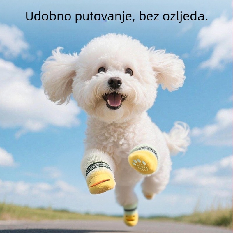 Čarape za pse s Cartoon uzorkom, pamuk, Twill pletenje, Jacquard obrada, proljeće i jesen