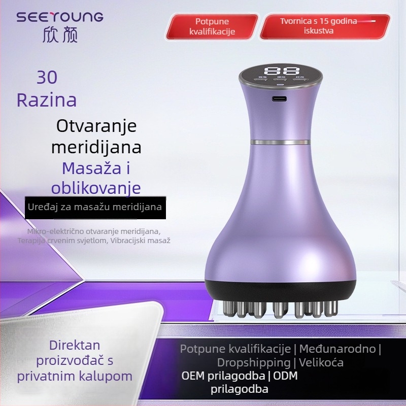 SEEYOUNG XY-M04 Električni uređaj za terapijski scraping meridijana s grijanjem, USB napajanje i upravljanje gumbom