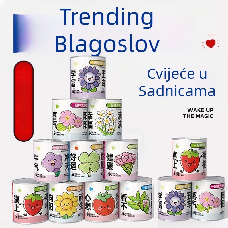 Mini posudeni cvijeća u misterioznoj kutiji za sadnju: jagoda, gypsophila, morning glory; idealno kao dar učenicima ili nagrada u razredu