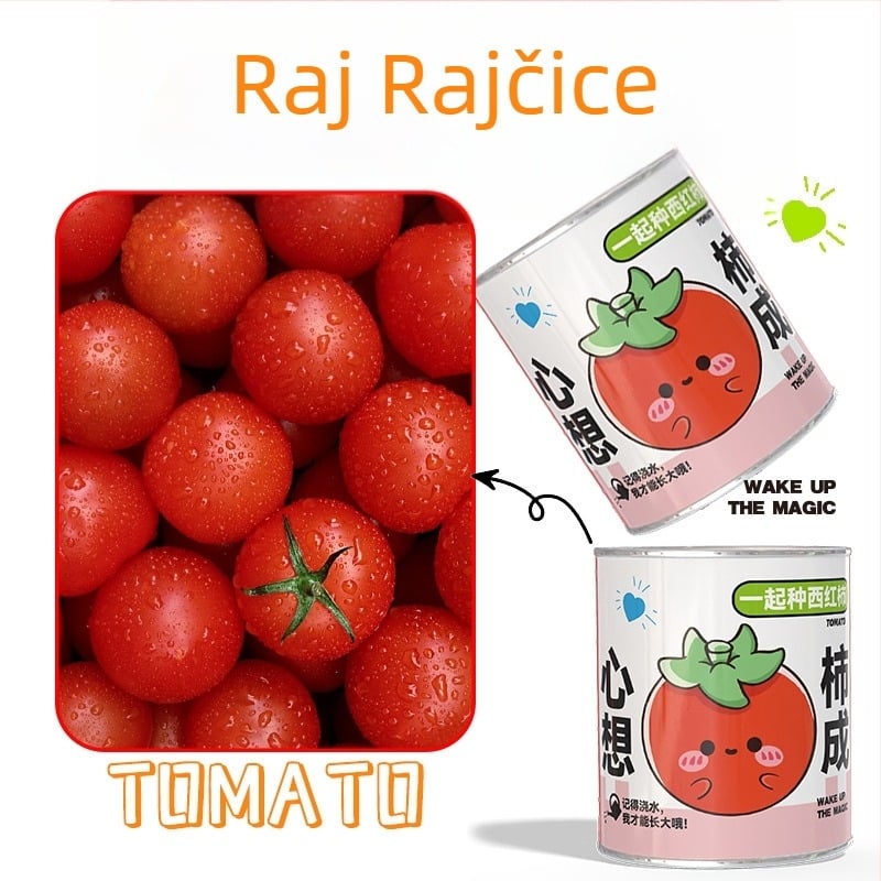 Mini posudeni cvijeća u misterioznoj kutiji za sadnju: jagoda, gypsophila, morning glory; idealno kao dar učenicima ili nagrada u razredu