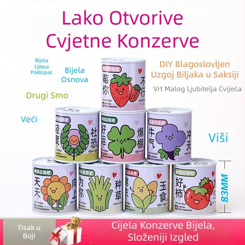 Desktop biljka u kutiji za poklon sa smjesom suncokreta — lako uzgojive sjemenke, sorte: suncokret, jagoda, rajčica, djetelina; više od 15°C, neutralno svjetlo