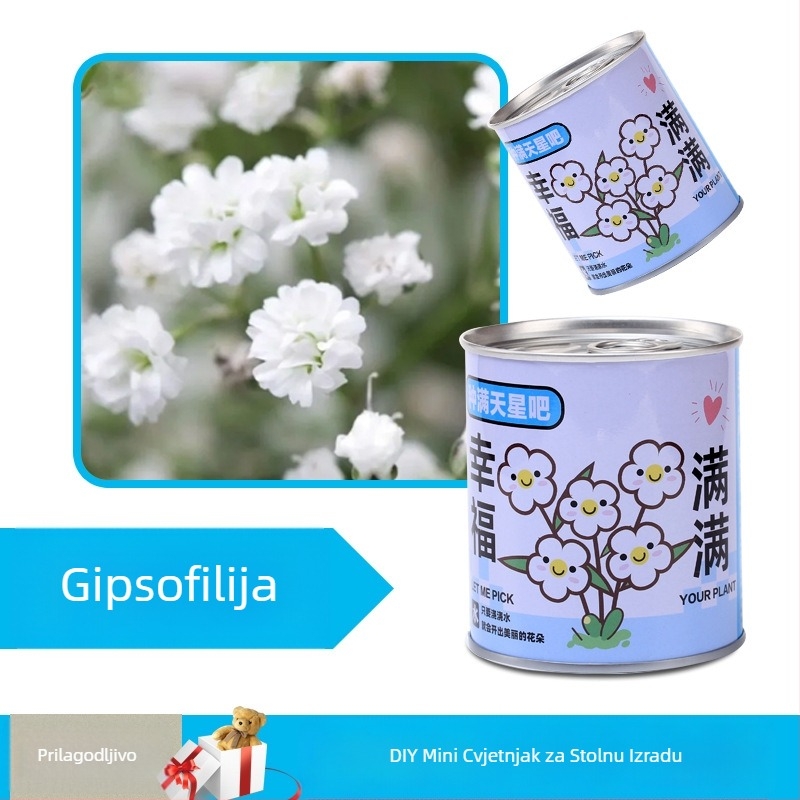 Desktop biljka u kutiji za poklon sa smjesom suncokreta — lako uzgojive sjemenke, sorte: suncokret, jagoda, rajčica, djetelina; više od 15°C, neutralno svjetlo