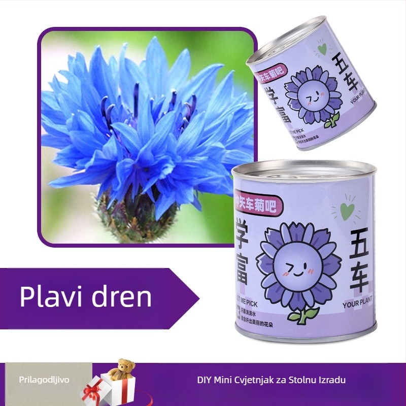 Desktop biljka u kutiji za poklon sa smjesom suncokreta — lako uzgojive sjemenke, sorte: suncokret, jagoda, rajčica, djetelina; više od 15°C, neutralno svjetlo