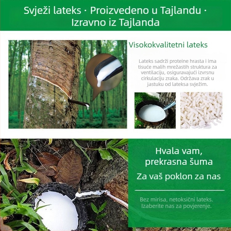 Lateksni jastuk, kvadratni jastuk za odrasle, punilo 95% prirodni lateks, sadržaj lateksa 90%+, Refined Rose