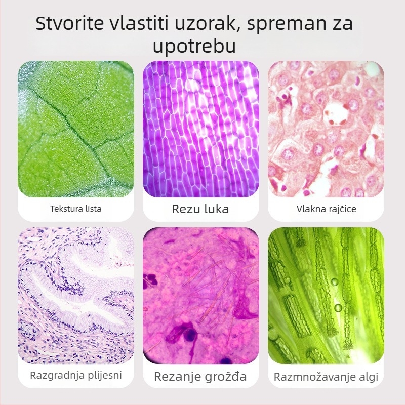 Dječji mikroskop 3-u-1, kompaktna edukativna igračka, plastični materijal, DIY, pakiranje u šarenoj kutiji, namijenjeno djeci 4–6 godina, biologija/kemija (plastični; DIY; šarena kutija; 4–6 godina; biologija/kemija)