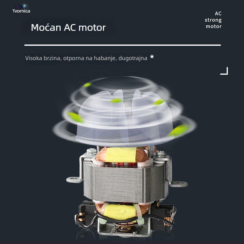 Sušilo za kosu za kućnu upotrebu - 1700W četkasti AC motor, negativni ioni i njega kose pri konstantnoj temperaturi, hladan/topli zrak, 220V