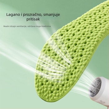 PU ulozak s dizajnom Artemisia (mugwort), podižuća funkcija, dezodorirajući i prozračan, cijeli ulozak, unisex odraslima, za sportske, kožne i casual cipele