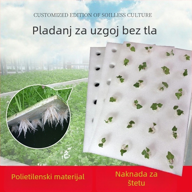 Plutajuća hidroponska ploča za uzgoj povrća na vodi | materijal: polietilen | vrtni ukrasni predmet