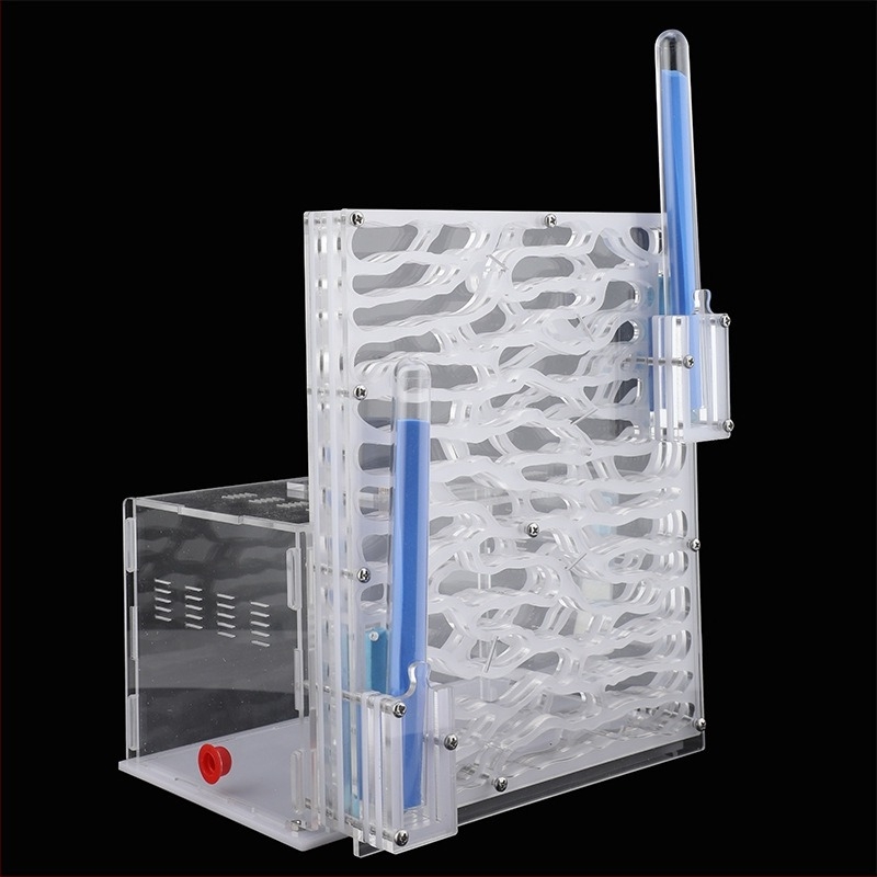 Akrilno stanište mrava: palača za penjanje po stablu s ekološkom kutijom (Materijal: Akril; DIY: Ne; Dob: 7–14; Električno: Ne; Intelektualni razvoj)