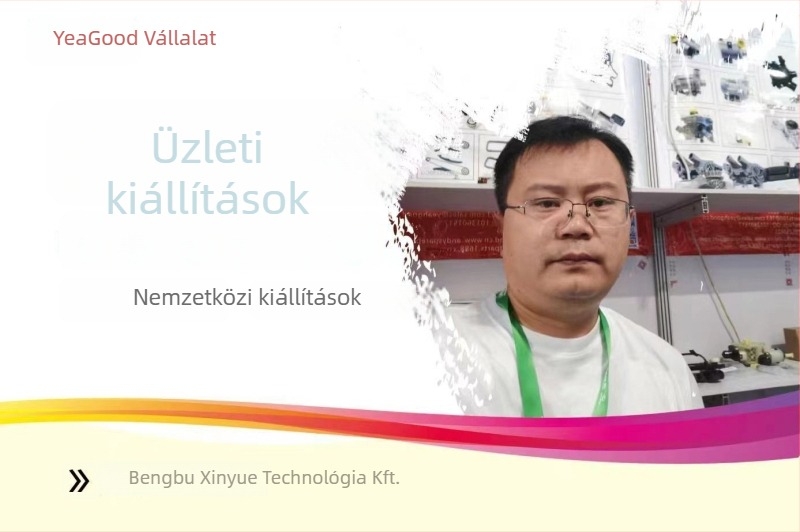 TYJ gyújtáskapcsoló zár 2992551, 2991727