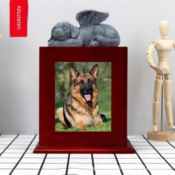 Háziállat hamvait tároló urnája | Anyag: Density board | Márka: NEWDREAM | Festett | Termékkód: Brown dog bone ssh box