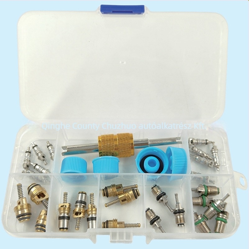Air Conditioning Valve Core Kit – Chu zhuo, univerzális minden autóhoz