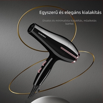 Professzionális fodrászszárító, 850W, 2 sebességű légáram, koncentrátorfej, túlmelegedés elleni védelem, 220V