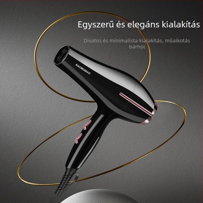 Professzionális fodrászszárító, 850W, 2 sebességű légáram, koncentrátorfej, túlmelegedés elleni védelem, 220V