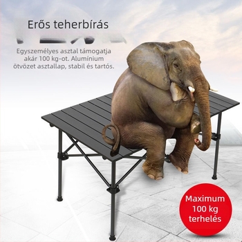 Egg Roll Table — Kültéri összecsukható hosszú asztal kempingezéshez és BBQ-hoz; szénacélból, összecsukható, Egg Roll stílus