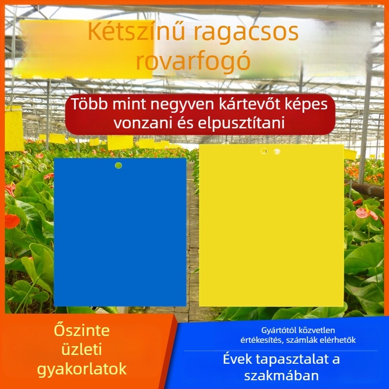 Ragasztó rovarlemez légy- és szúnyogcsapdával