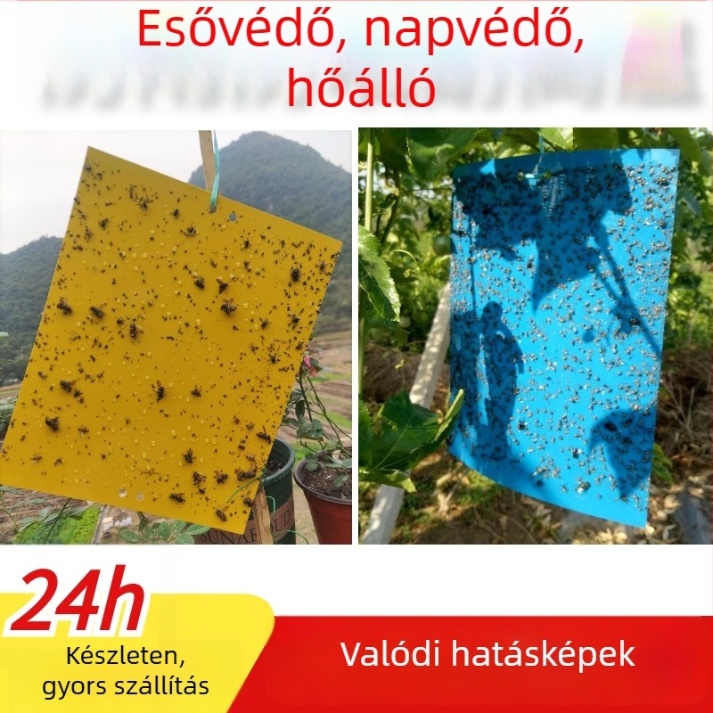 Ragasztó rovarlemez légy- és szúnyogcsapdával