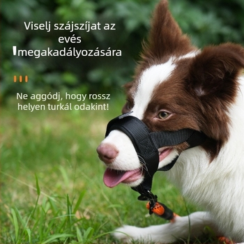 Textil kutyaszájkosár | Megakadályozza harapást és ugatást | Lehetővé teszi a vízivást | Nem importált termék