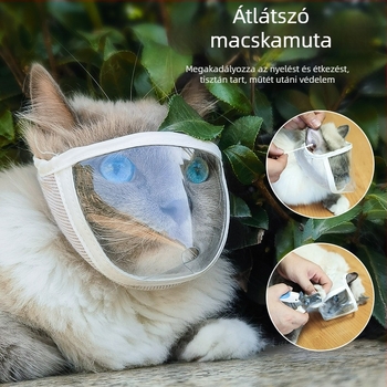 Lexuan Átlátszó macska fejmaszk, PVC+gyapot, légáteresztő, harapás elleni, kóbor macskáknak