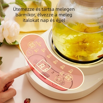 Health Pot XF-200 — kapacitás 1–1,5 L, teljesítmény 600 W, 220 V, boroszilikát üvegből készült test