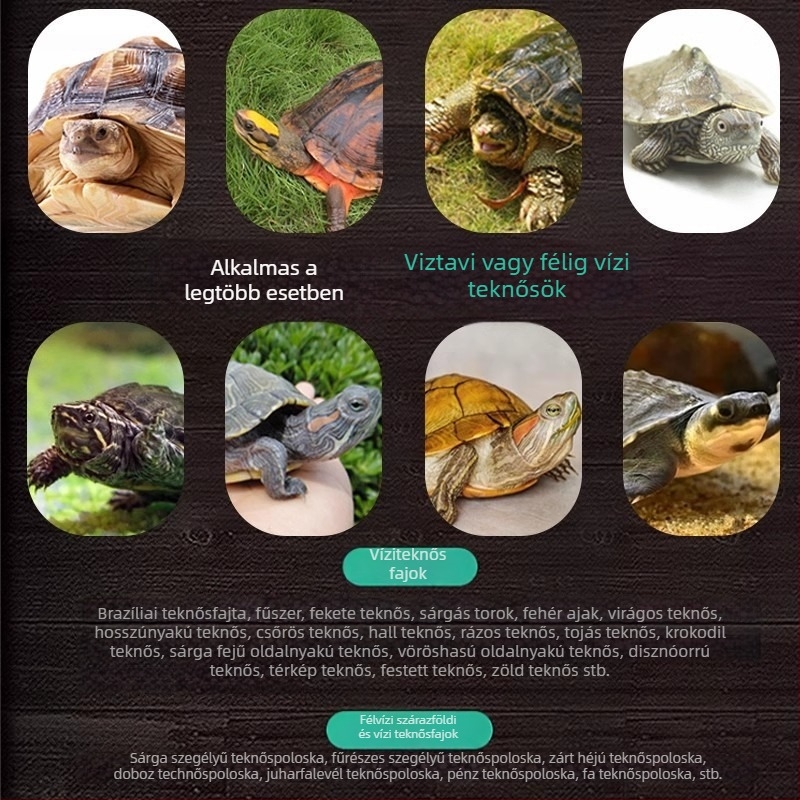 Granulált teknőstáp – akváriumi házi kedvenc étel, tömeges kiszerelésben, nem importált