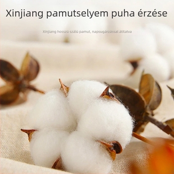 Nehéz pamut pulóver, bő szabású, kerek nyakú, hosszú ujjú