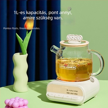 Egészségügyi kanna boroszilikát üvegből, 1 L kapacitás, 220V 500W, digitális termosztát, gombos vezérlés, modell F1