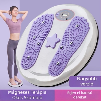 Derékcsavaró korong intelligens számlálóval, mágneses gömbök, PP anyag (testformálás és fogyás)