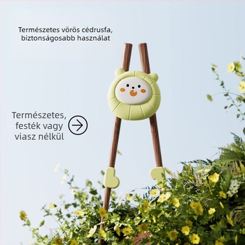 Gyermekek számára tanító evőpálcikák – fából, Jingqi márka, friss és bájos stílus, testreszabható logó (Fából; Jingqi; friss és bájos stílus; testreszabható logó)