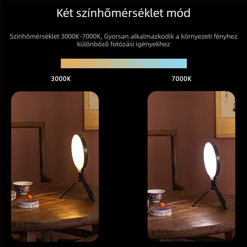 LED töltőlámpa fotózáshoz és élő közvetítéshez, 13W, 5V2A, QO160 modell, 3 világítási üzemmód, függőleges használat