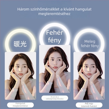LED körlámpa élő közvetítéshez és fotózáshoz, 3 színhőmérséklet, 10–50W, 220V, Testreszabható feldolgozás