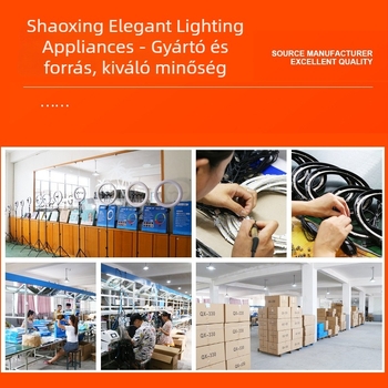 LED körlámpa élő közvetítéshez és fotózáshoz, 3 színhőmérséklet, 10–50W, 220V, Testreszabható feldolgozás