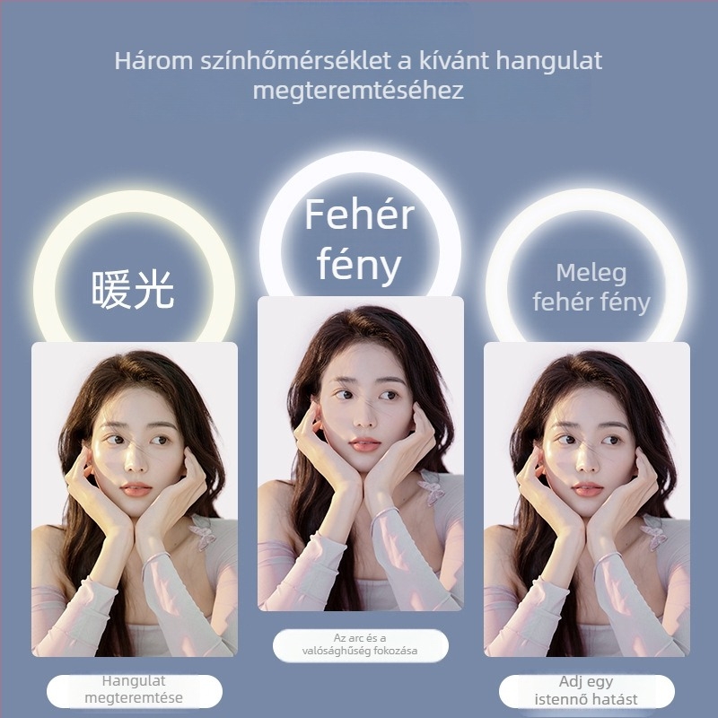 LED körlámpa élő közvetítéshez és fotózáshoz, 3 színhőmérséklet, 10–50W, 220V, Testreszabható feldolgozás