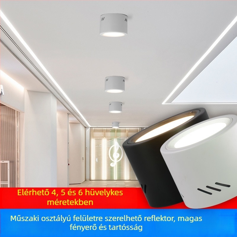 LED hengeres downlight, kerek, felületen szerelt, 6000K, 220V, alumínium ház, 10 000 óra, kereskedelmi világítás boltokhoz