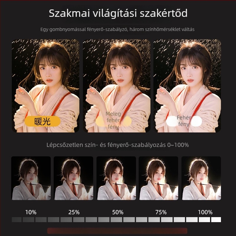 LED töltőfény élő közvetítéshez - 40W, háromszínű fényhőmérséklet, álló kivitel, 220V, LATZZ