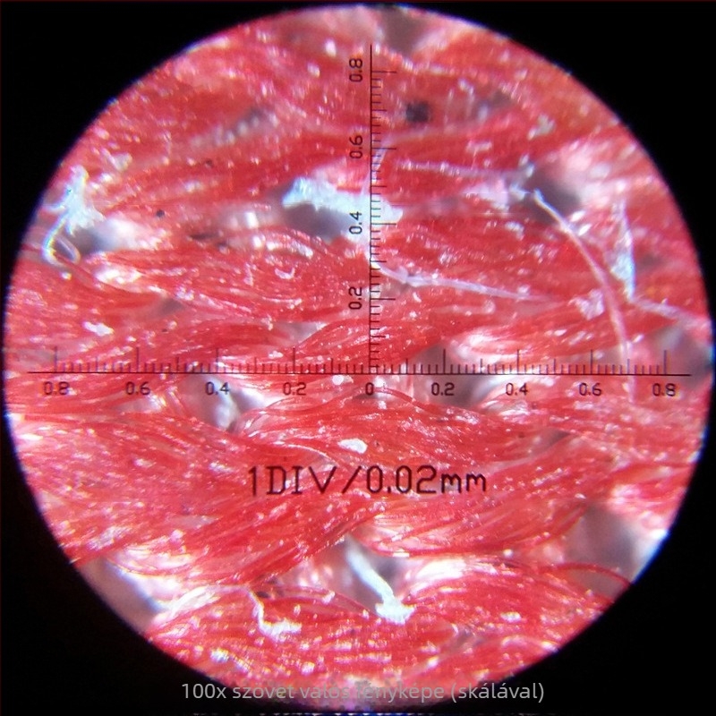 Kézben tartható LED-es mikroszkóp 100×-es nagyítással és mérőskálával, oktatási célokra