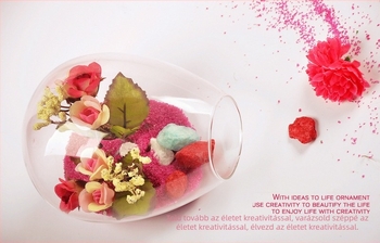 mxmade oldalról nyíló átlátszó üvegváz hidroponikus pozsgásokhoz — fúvott boroszilikát üveg, polírozott felület, testreszabható