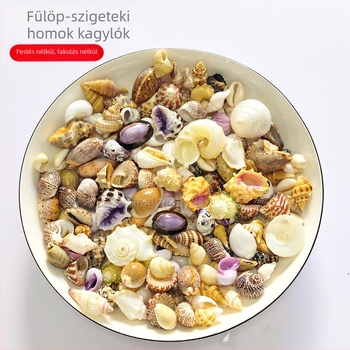 Dekoratív kagyló, korall és conch készlet DIY projektekhez, díszítés akváriumhoz és asztali dekorációhoz