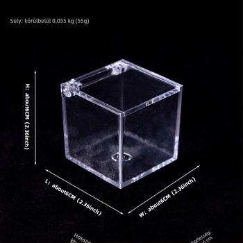 Akrilból készült moha mikro tájkép terrárium — mini DIY doboz az íróasztalhoz, modell Square Box Micro Landscape, Levana