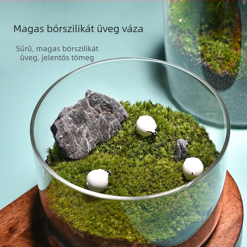 Átlátszó üvegváza mikro tájhoz, hengeres kialakítás, boroszilikt üveg, testreszabható, Thick Glass