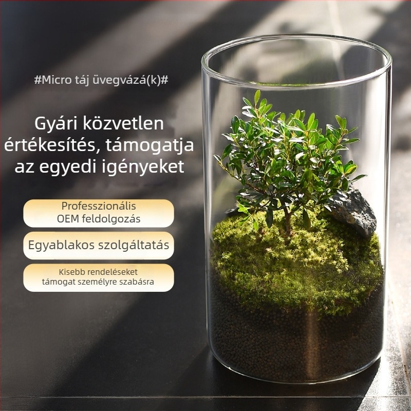 Átlátszó üvegváza mikro tájhoz, hengeres kialakítás, boroszilikt üveg, testreszabható, Thick Glass