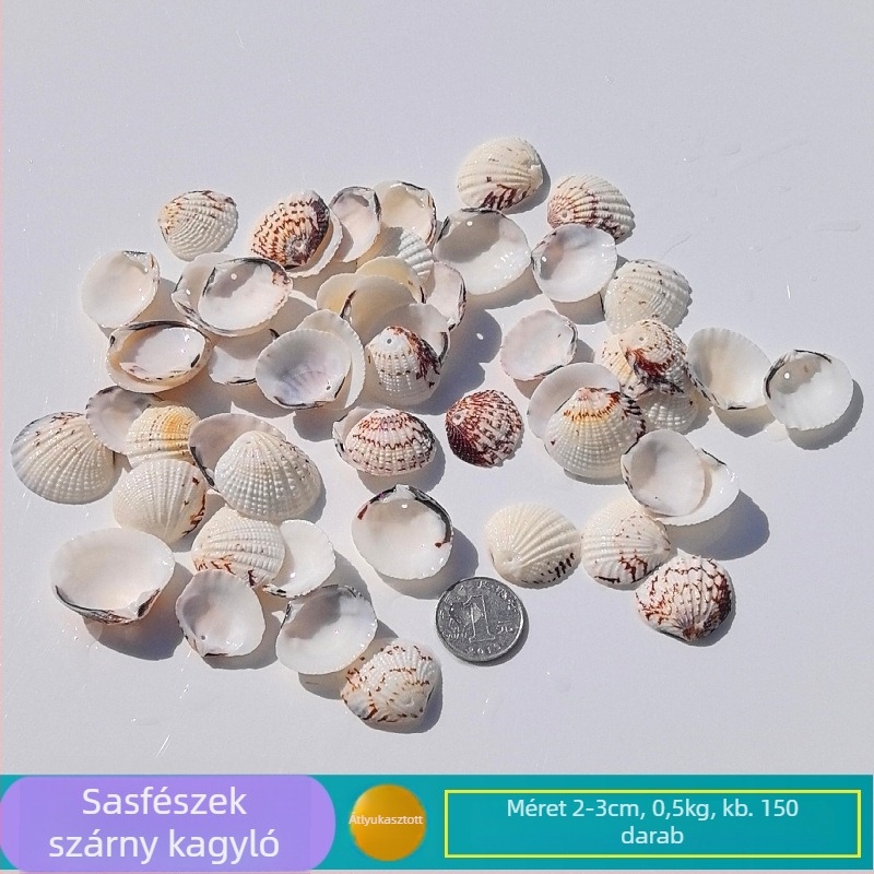 Természetes kagylóhéj és tengeri csillag akváriumi/terráriumi dekoráció perforált elemekkel, gyerekeknek készült képeskeret DIY szélharang és sodródó üveg