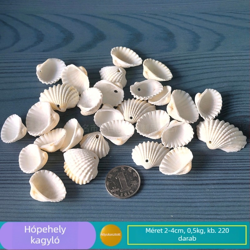 Természetes kagylóhéj és tengeri csillag akváriumi/terráriumi dekoráció perforált elemekkel, gyerekeknek készült képeskeret DIY szélharang és sodródó üveg