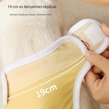 Kutyák menstruációs alsónemű, pamutból, rajzfilm-stílus, fiziológiai nadrág kutyáknak