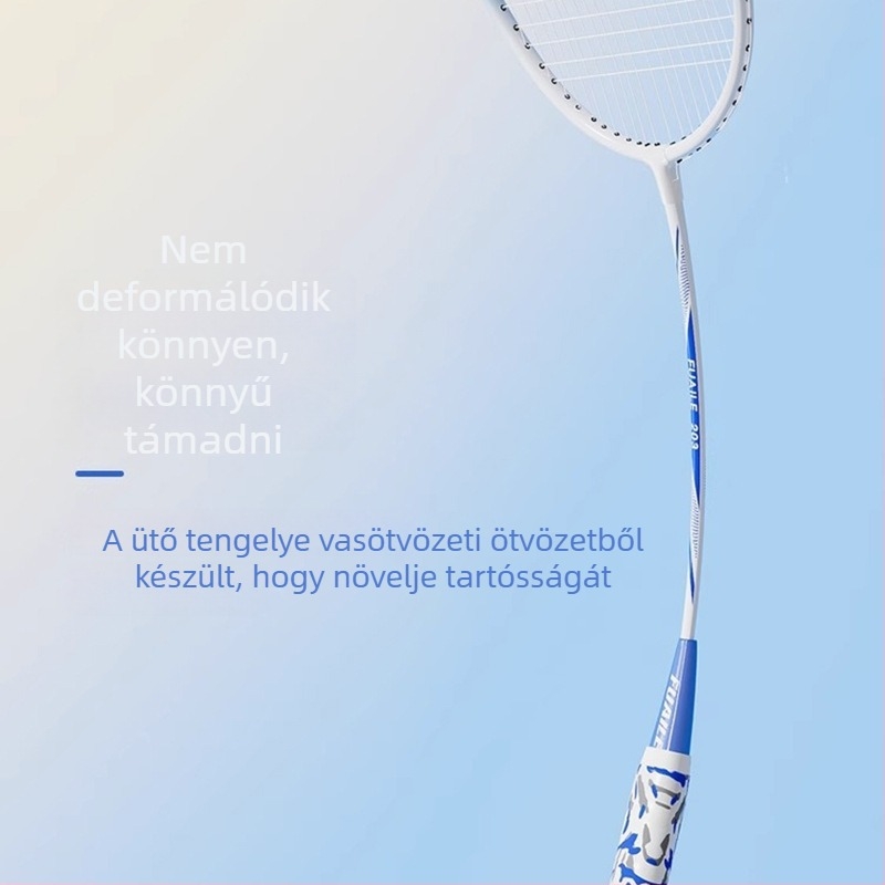 Badmintonütő készlet – vasötvözet keret, nylon húrok, közvetlen ütés, egyes és páros rakétákból álló készlet kezdőknek