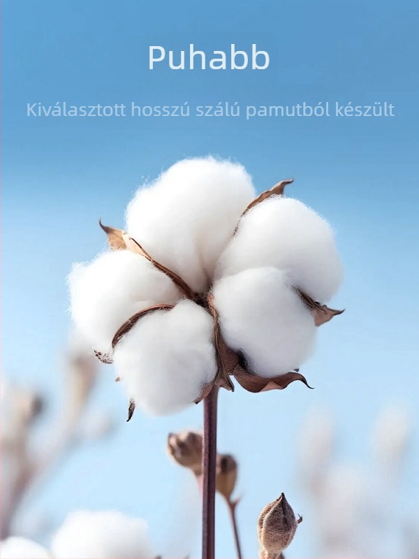 100% pamut ing, karcsúsított szabás, rövid ujjú, vasalásmentes, rever gallér