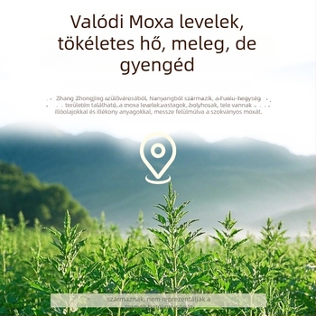 Ai Chuang elektromos melegítésű váll- és nyakvédő Mugwort melegítő kompresszióval egészségügyi masszázshoz