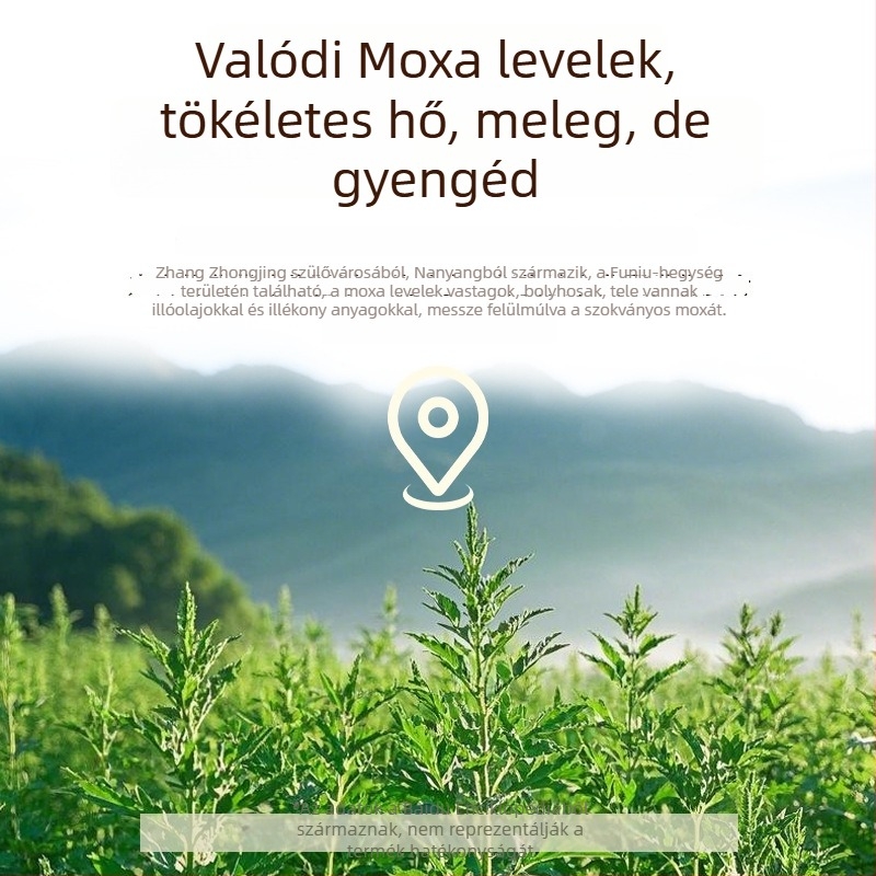 Ai Chuang elektromos melegítésű váll- és nyakvédő Mugwort melegítő kompresszióval egészségügyi masszázshoz