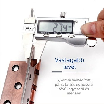 Asabi rozsdamentes acél csapágyas pánt, sík modell, csiszolt felület, modern minimalizmus